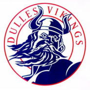DHS Vikings mascot